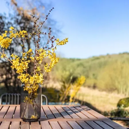 Apartment Living Between Heaven And Forest